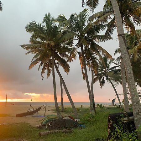 Shoreline Marari Beach Villa At Golden Beach Mararikulam Alappuzha Dış mekan fotoğraf